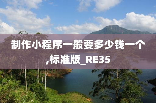 制作小程序一般要多少钱一个,标准版_RE35