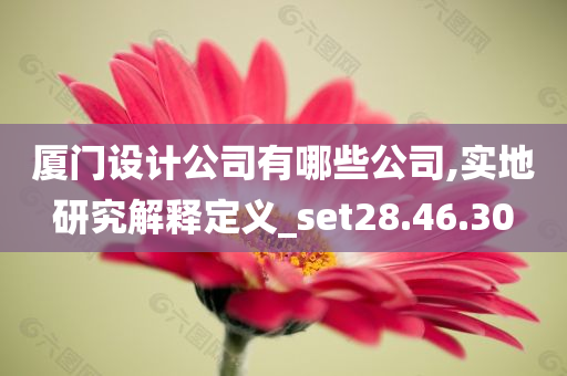 厦门设计公司有哪些公司,实地研究解释定义_set28.46.30