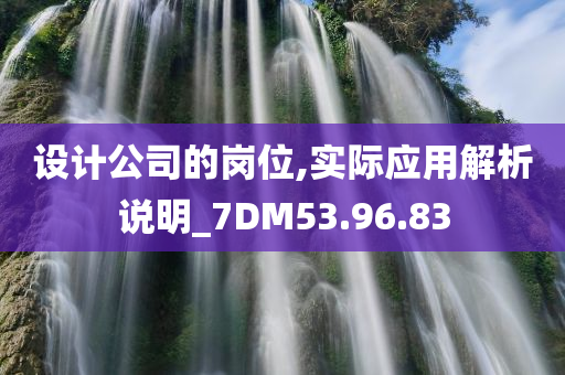 设计公司的岗位,实际应用解析说明_7DM53.96.83