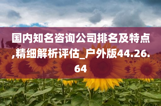 国内知名咨询公司排名及特点,精细解析评估_户外版44.26.64