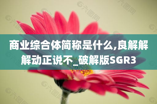 商业综合体简称是什么,良解解解动正说不_破解版SGR3