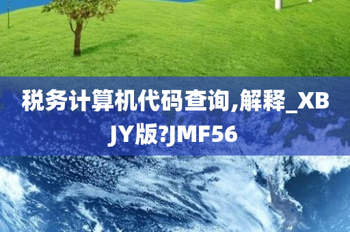 税务计算机代码查询,解释_XBJY版?JMF56