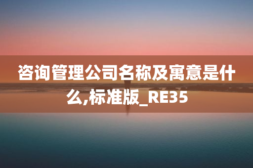 咨询管理公司名称及寓意是什么,标准版_RE35