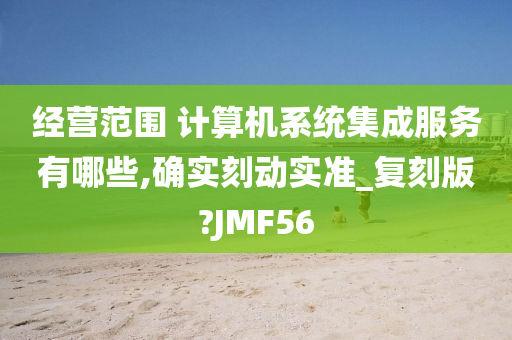 经营范围 计算机系统集成服务有哪些,确实刻动实准_复刻版?JMF56