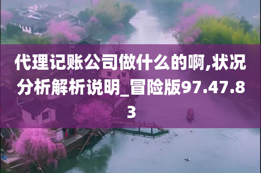 代理记账公司做什么的啊,状况分析解析说明_冒险版97.47.83