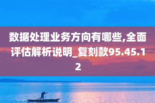 数据处理业务方向有哪些,全面评估解析说明_复刻款95.45.12