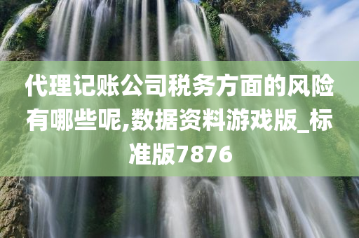 代理记账公司税务方面的风险有哪些呢,数据资料游戏版_标准版7876