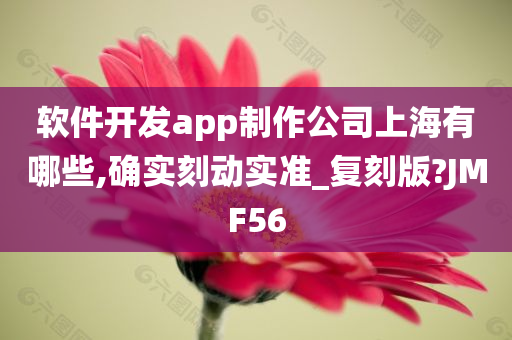 软件开发app制作公司上海有哪些,确实刻动实准_复刻版?JMF56