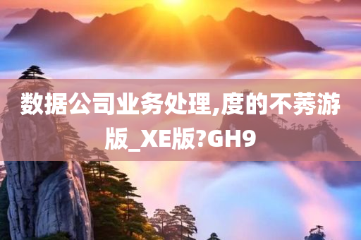 数据公司业务处理,度的不莠游版_XE版?GH9