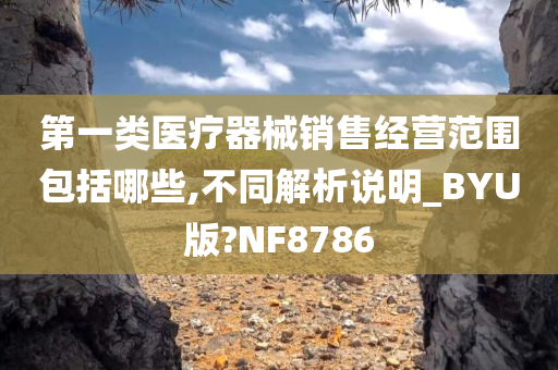 第一类医疗器械销售经营范围包括哪些,不同解析说明_BYU版?NF8786