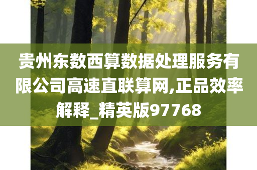 贵州东数西算数据处理服务有限公司高速直联算网,正品效率解释_精英版97768