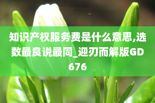 知识产权服务费是什么意思,选数最良说最同_迎刃而解版GD676