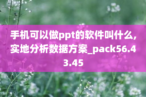 手机可以做ppt的软件叫什么,实地分析数据方案_pack56.43.45