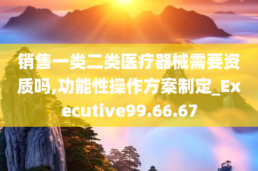 销售一类二类医疗器械需要资质吗,功能性操作方案制定_Executive99.66.67