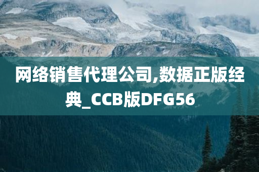 网络销售代理公司,数据正版经典_CCB版DFG56