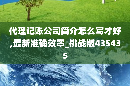 代理记账公司简介怎么写才好,最新准确效率_挑战版435435