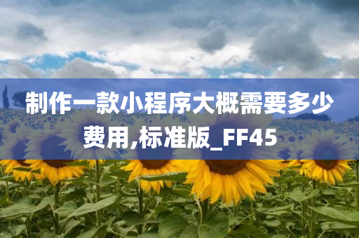 制作一款小程序大概需要多少费用,标准版_FF45