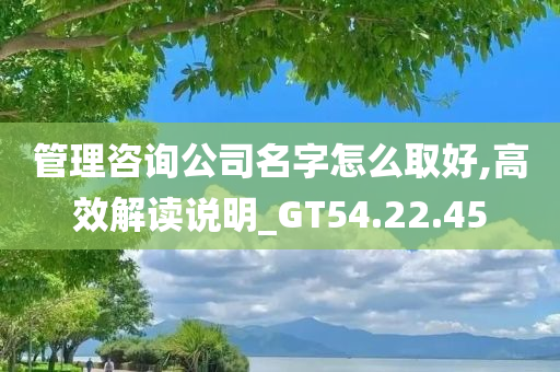 管理咨询公司名字怎么取好,高效解读说明_GT54.22.45