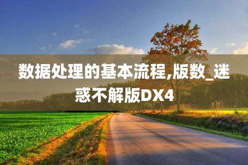 数据处理的基本流程,版数_迷惑不解版DX4