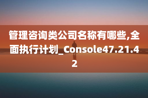 管理咨询类公司名称有哪些,全面执行计划_Console47.21.42