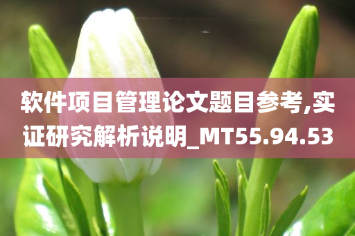 软件项目管理论文题目参考,实证研究解析说明_MT55.94.53