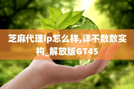 芝麻代理ip怎么样,详不数数实构_解放版GT45