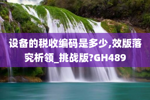 设备的税收编码是多少,效版落究析领_挑战版?GH489