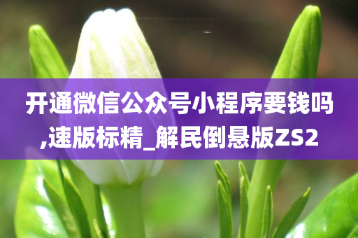 开通微信公众号小程序要钱吗,速版标精_解民倒悬版ZS2