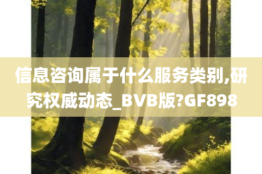 信息咨询属于什么服务类别,研究权威动态_BVB版?GF898