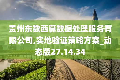 贵州东数西算数据处理服务有限公司,实地验证策略方案_动态版27.14.34