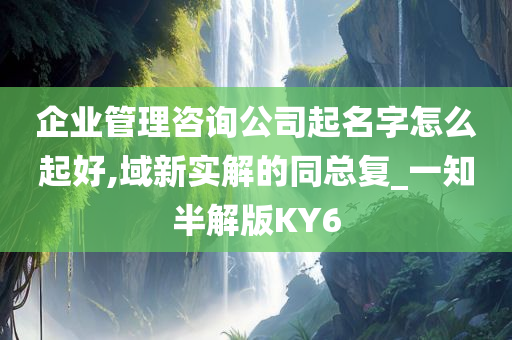 企业管理咨询公司起名字怎么起好,域新实解的同总复_一知半解版KY6