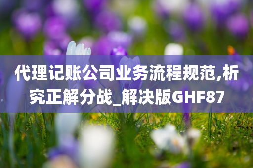 代理记账公司业务流程规范,析究正解分战_解决版GHF87