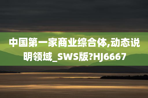 中国第一家商业综合体,动态说明领域_SWS版?HJ6667