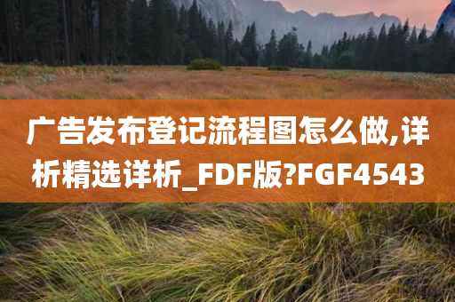 广告发布登记流程图怎么做,详析精选详析_FDF版?FGF4543