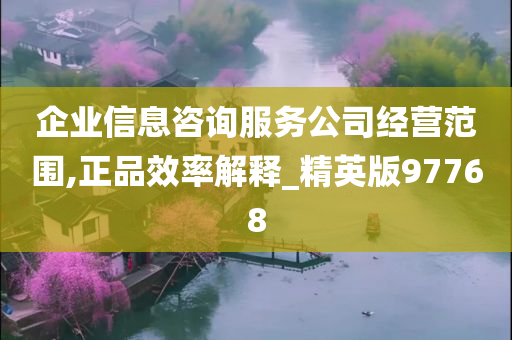 企业信息咨询服务公司经营范围,正品效率解释_精英版97768