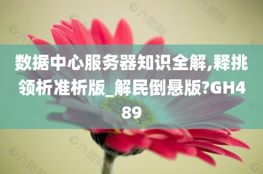 数据中心服务器知识全解,释挑领析准析版_解民倒悬版?GH489