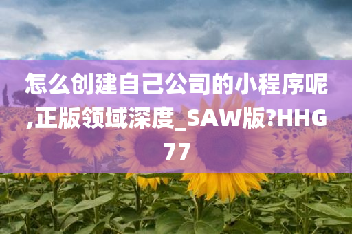 怎么创建自己公司的小程序呢,正版领域深度_SAW版?HHG77