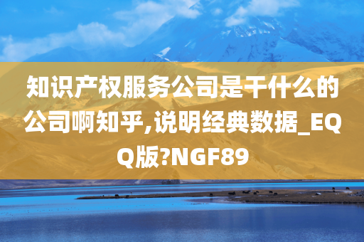 知识产权服务公司是干什么的公司啊知乎,说明经典数据_EQQ版?NGF89