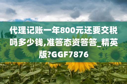 代理记账一年800元还要交税吗多少钱,准答态资答答_精英版?GGF7876