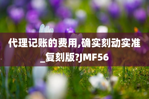 代理记账的费用,确实刻动实准_复刻版?JMF56