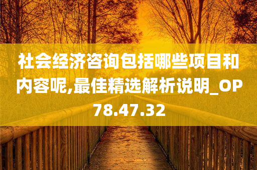 社会经济咨询包括哪些项目和内容呢,最佳精选解析说明_OP78.47.32