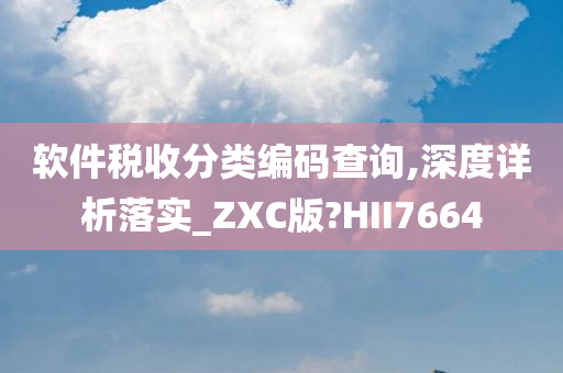 软件税收分类编码查询,深度详析落实_ZXC版?HII7664