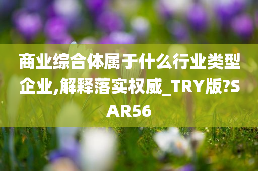 商业综合体属于什么行业类型企业,解释落实权威_TRY版?SAR56