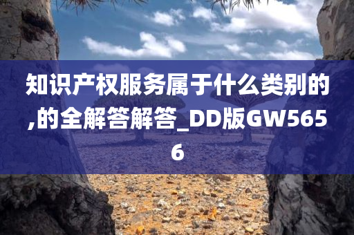 知识产权服务属于什么类别的,的全解答解答_DD版GW5656