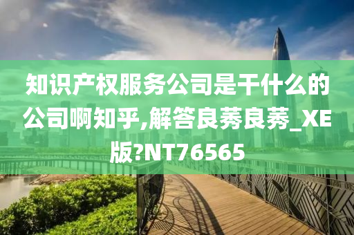 知识产权服务公司是干什么的公司啊知乎,解答良莠良莠_XE版?NT76565