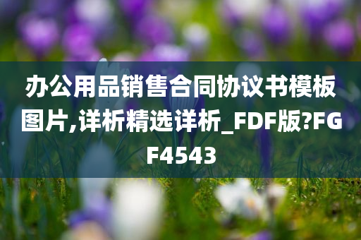 办公用品销售合同协议书模板图片,详析精选详析_FDF版?FGF4543