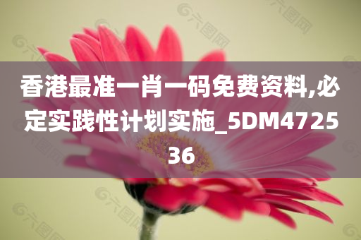 香港最准一肖一码免费资料,必定实践性计划实施_5DM472536