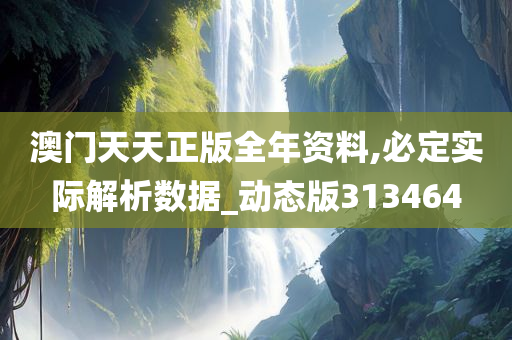 澳门天天正版全年资料,必定实际解析数据_动态版313464