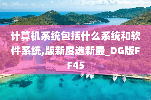 计算机系统包括什么系统和软件系统,版新度选新最_DG版FF45