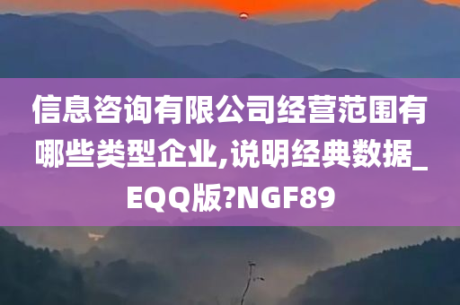 信息咨询有限公司经营范围有哪些类型企业,说明经典数据_EQQ版?NGF89